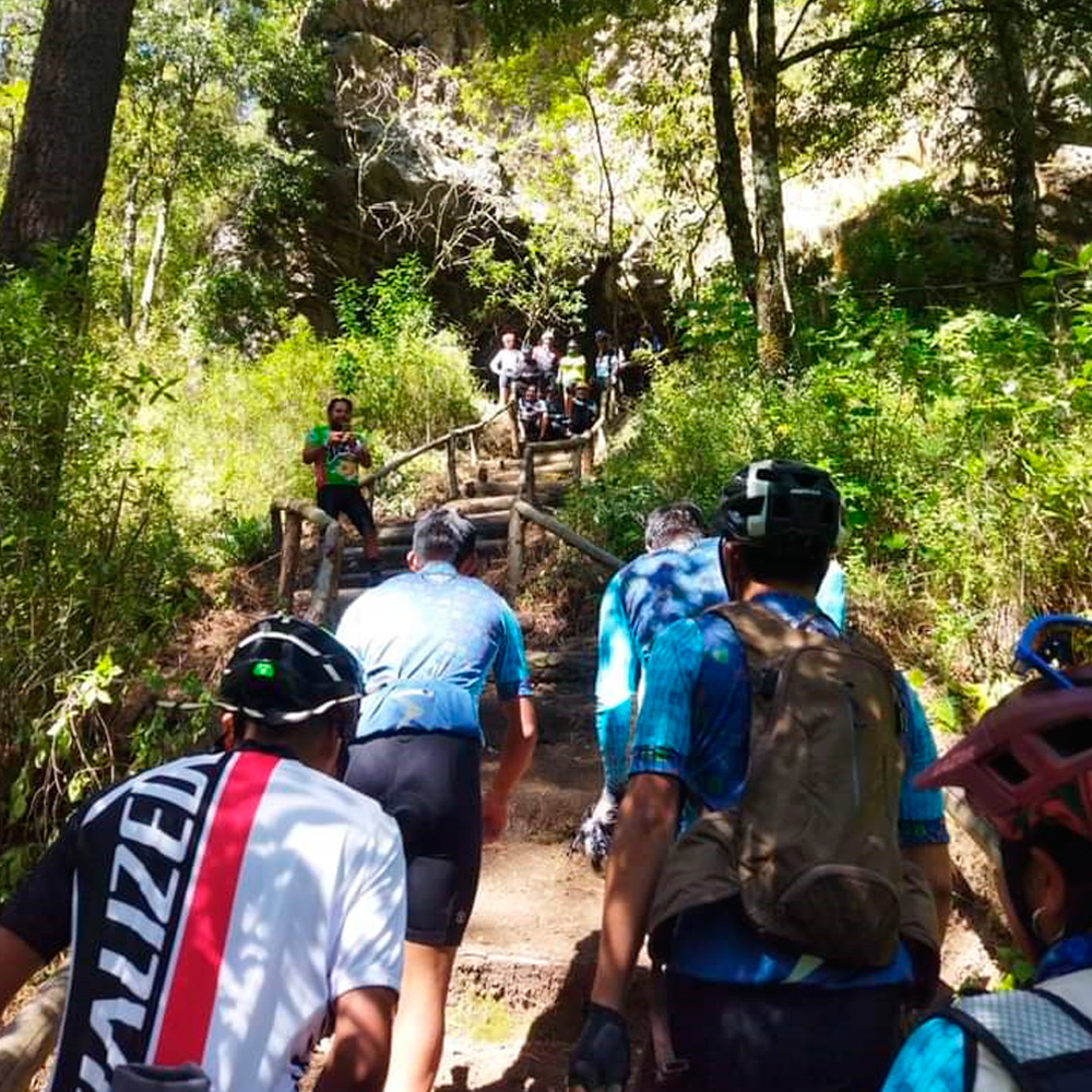 Grupo caminando por el bosque