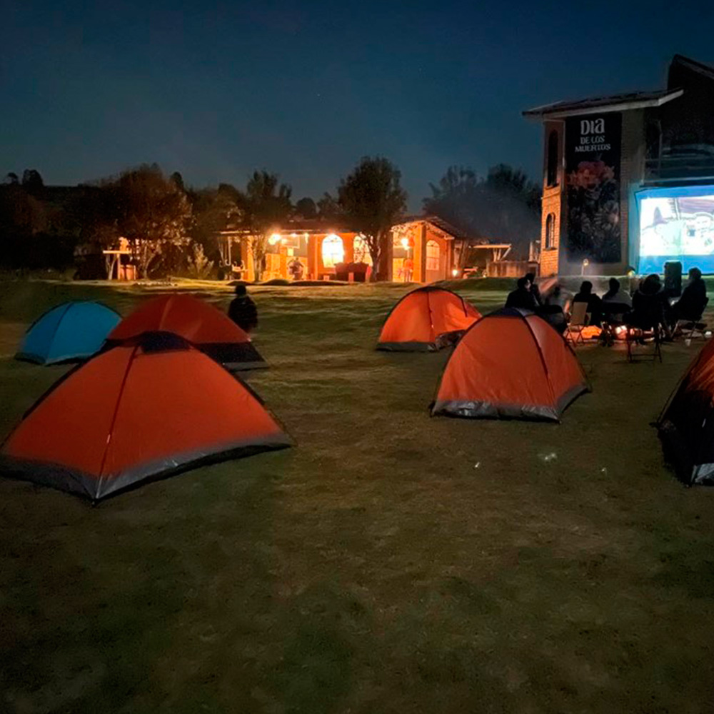 Camping en zona segura del bosque