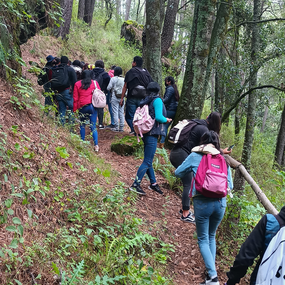 Senderismo ecológico guiado