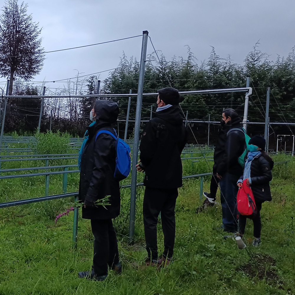 Niños plantando árboles